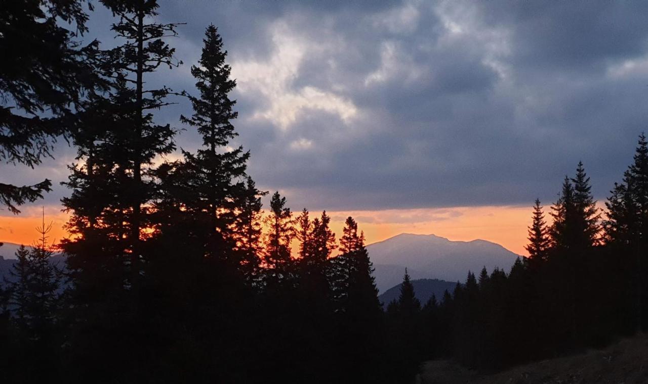 Hotel Hubertushof Trattenbach  Zewnętrze zdjęcie