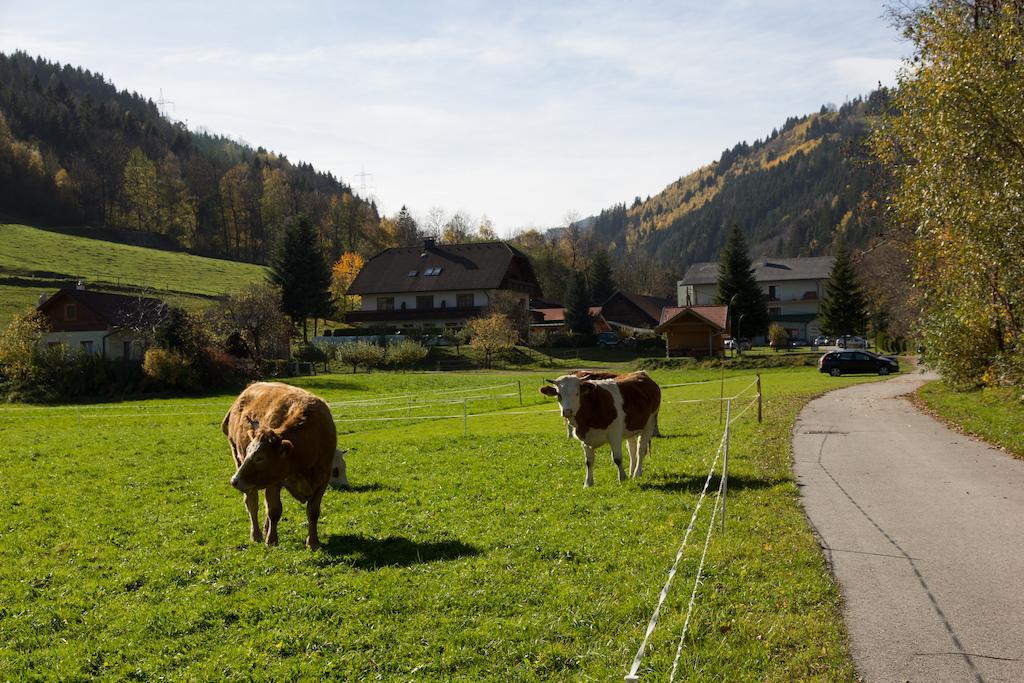 Hotel Hubertushof Trattenbach  Zewnętrze zdjęcie